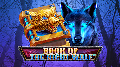 Book of the Night Wolf